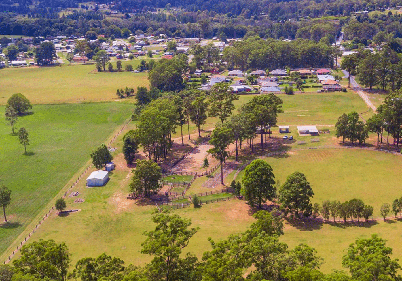 Things to do in Glenreagh The Golden Dog Hotel Glenreagh